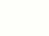 tex egg shell