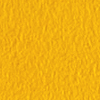 GA ORANGE 22