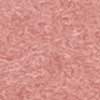 NT REDDISH BROWN