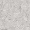 DP KLEANNARA GRAYBACK  BACK